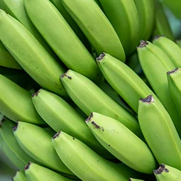 groceryitem