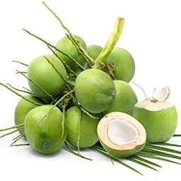 groceryitem