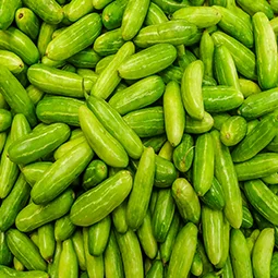 groceryitem