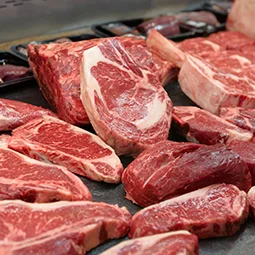 Fresh Meat 