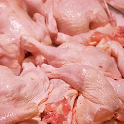 Fresh Meat 