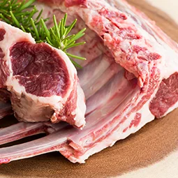 Fresh Meat 