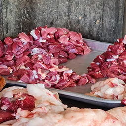 Fresh Meat 